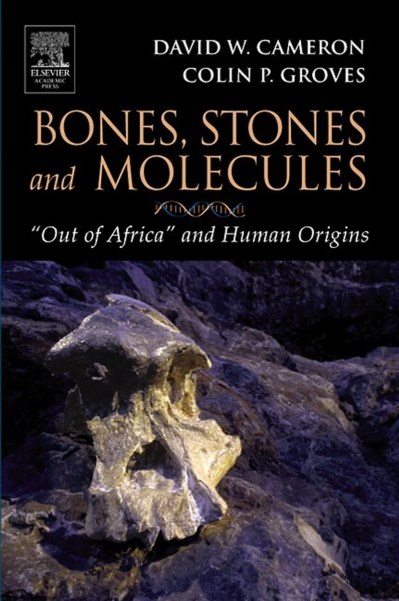 Bones, Stones and Molecules: "Out of Africa" Human Origins