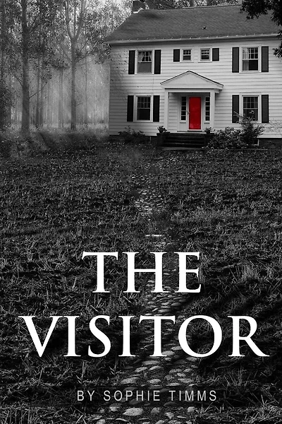 The Visitor: The suspense thriller with a twist