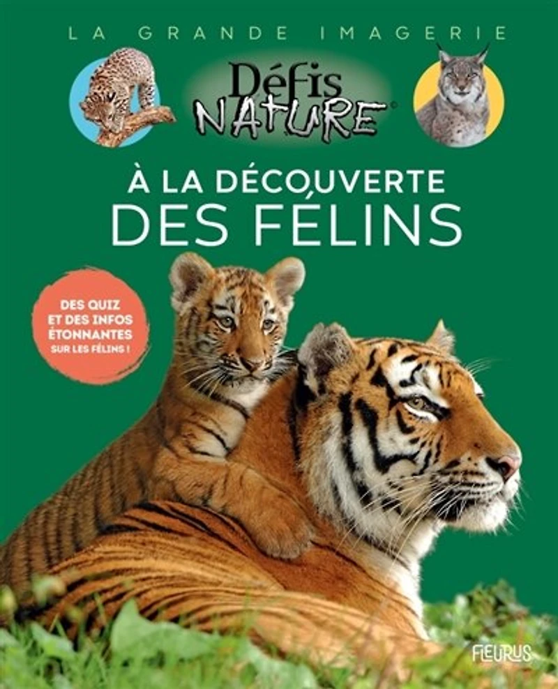 A la découverte des félins: des quiz et des infos étonnantes sur les félins !