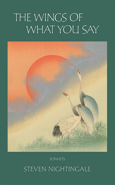 The Wings of What You Say: 99 Sonnets