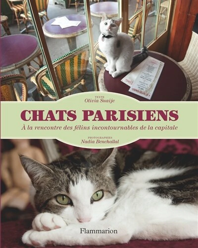 Chats parisiens: à la rencontre des félins incontournables de la capitale