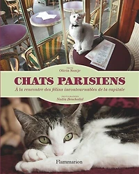 Chats parisiens: à la rencontre des félins incontournables de la capitale