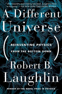A Different Universe: Reinventing Physics From the Bottom Down