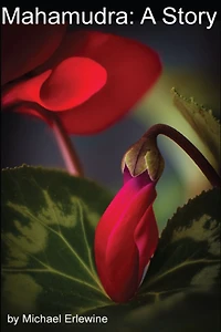 Mahamudra: A Story: Learning Mahamudra Meditation