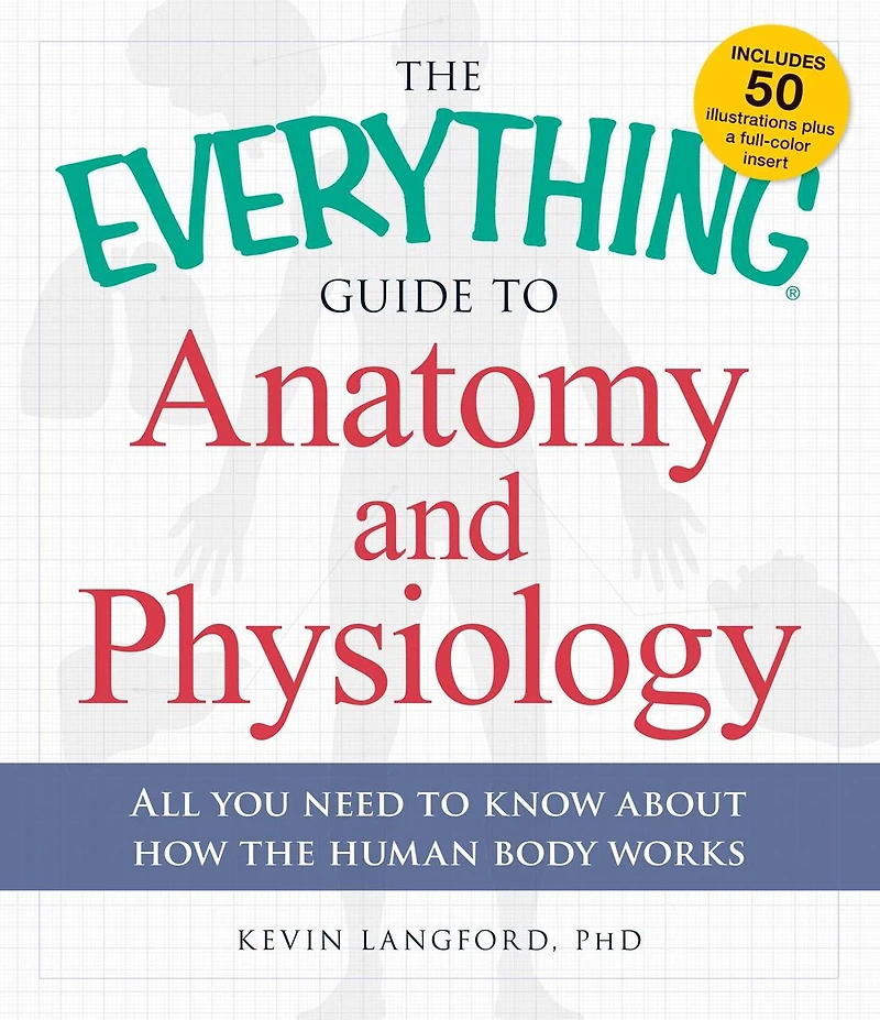 the Everything Guide to Anatomy and Physiology: All You Need Know about How Human Body Works