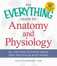 the Everything Guide to Anatomy and Physiology: All You Need Know about How Human Body Works