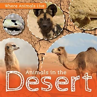 Animals in the Desert