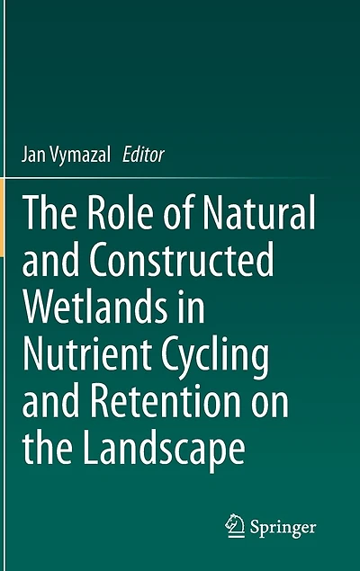 the Role of Natural and Constructed Wetlands Nutrient Cycling Retention on Landscape