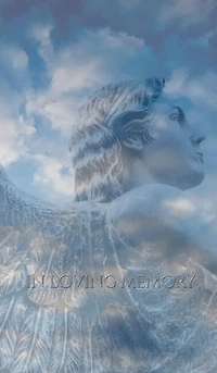 Angelic Angel celebration of Life Remembrance loving memory Journal: