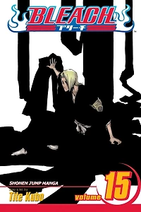 Bleach, Vol. 15: Beginning of the Death Tomorrow