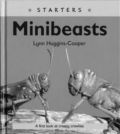 Read Write Inc. Comprehension: Module 24: Children's Book Mini Beasts
