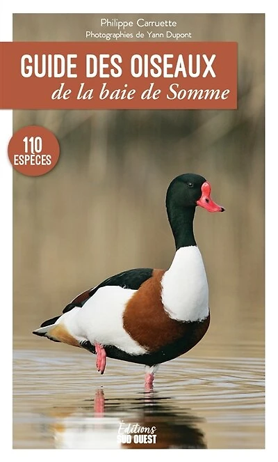 Guide des oiseaux de la baie Somme: 110 espèces à découvrir, où les observer