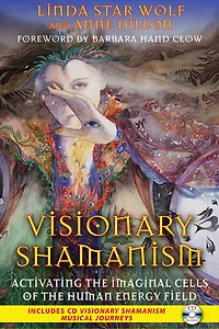 Visionary Shamanism: Activating the Imaginal Cells of Human Energy Field