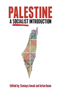 Palestine: A Socialist Introduction: Introduction
