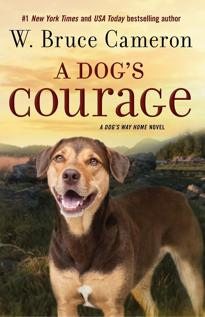 A Dog's Courage: Way Home Novel