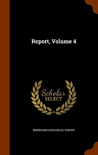 Report