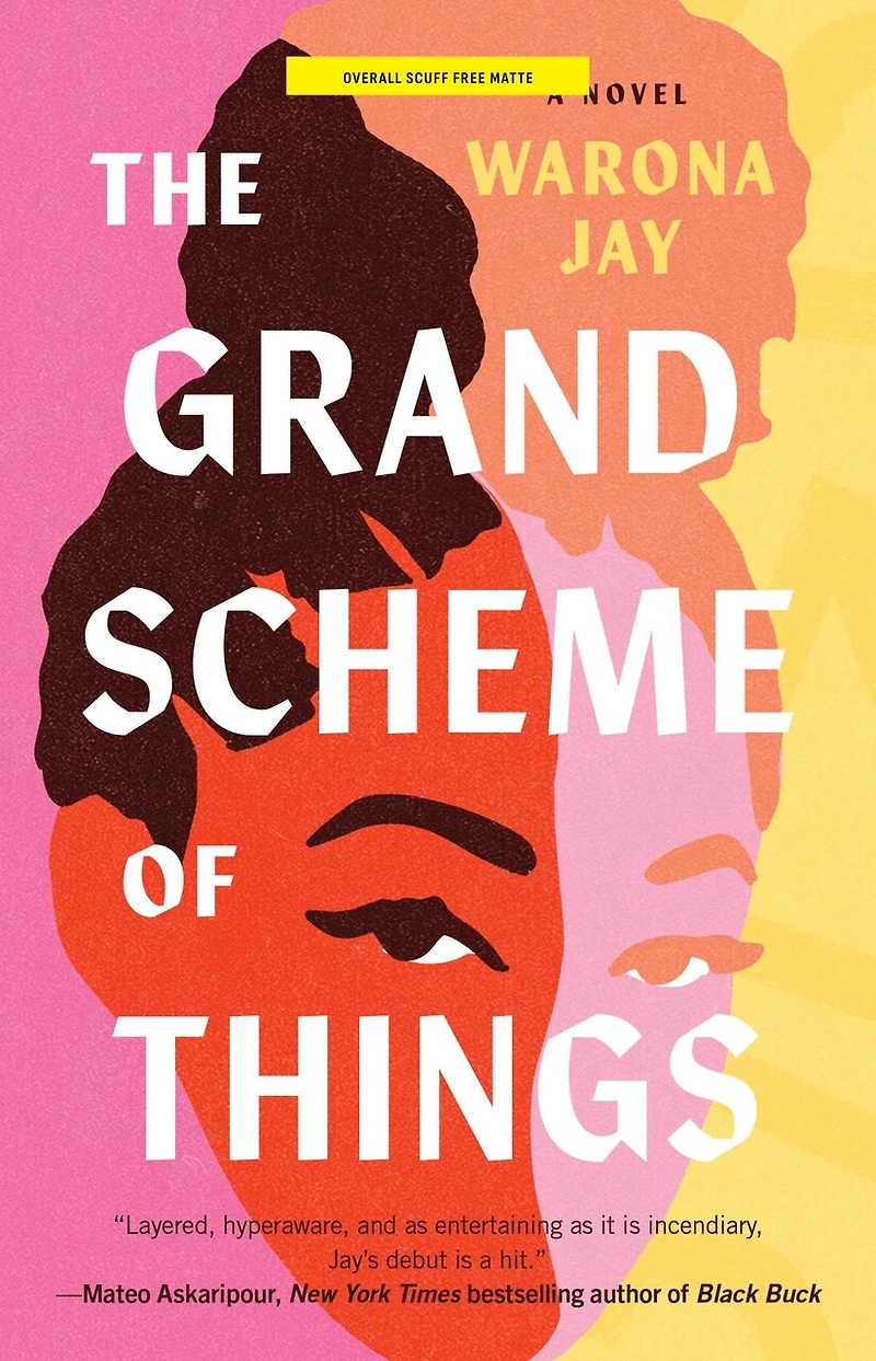 The Grand Scheme of Things: A Novel