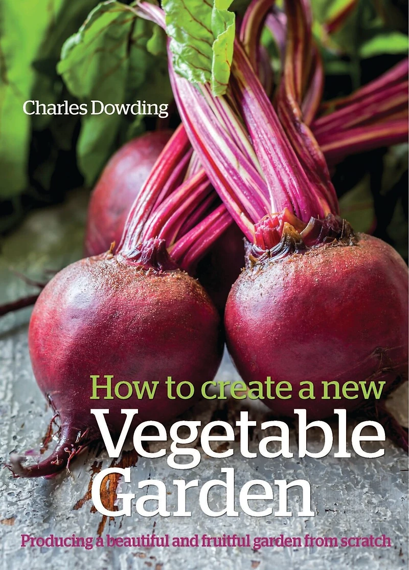 How to Create a New Vegetable Garden: Producing beautiful and fruitful garden from scratch