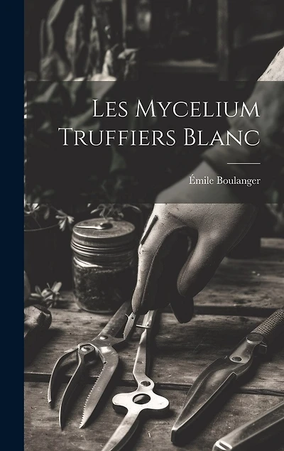 Les mycelium truffiers blanc