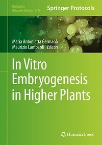 Vitro Embryogenesis Higher Plants