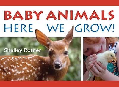Baby Animals!: Here We Grow