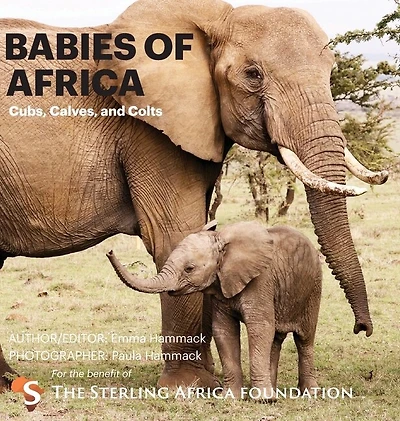 Babies of Africa: Cubs, Calves and Colts
