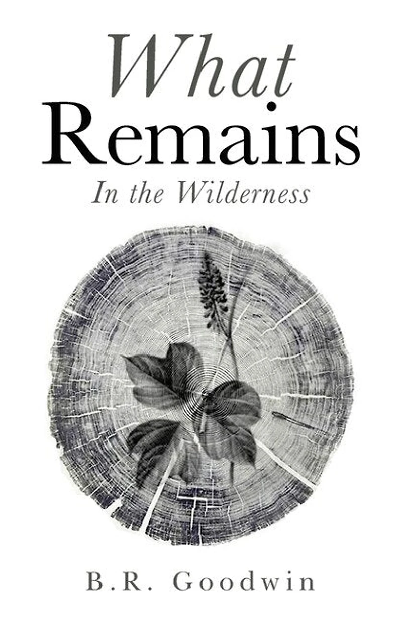 What Remains: The Wilderness