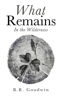 What Remains: The Wilderness