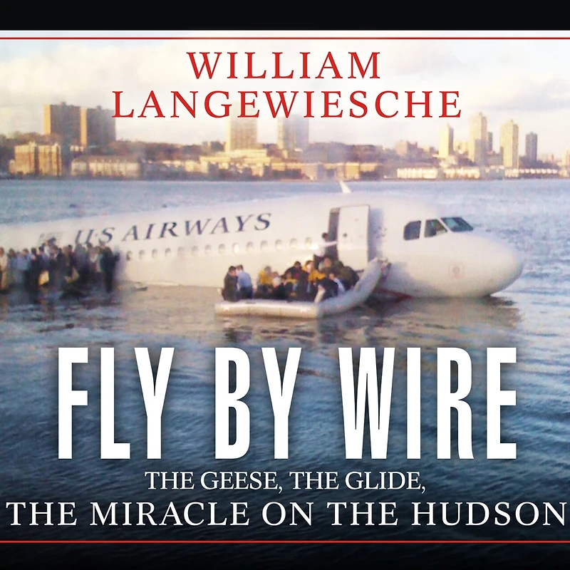 Fly by Wire: the Geese, Glide, Miracle on Hudson