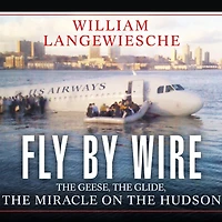 Fly by Wire: the Geese, Glide, Miracle on Hudson