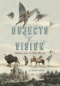 Objects of Vision: Making Sense What We See