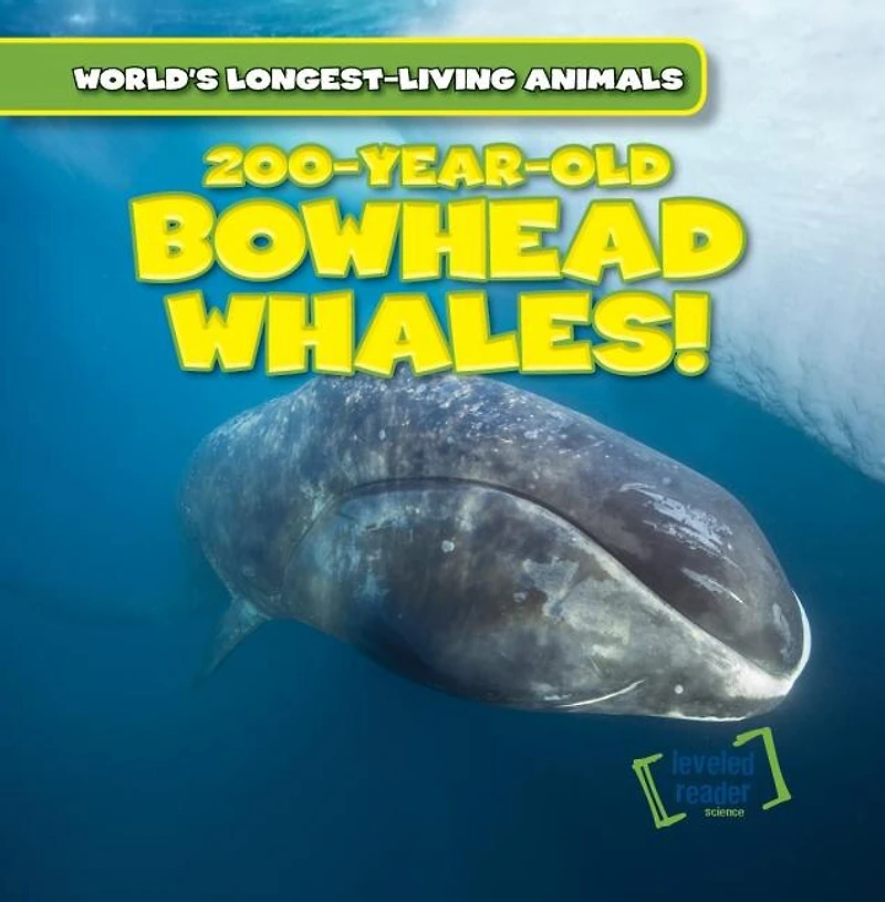 200-Year-Old Bowhead Whales