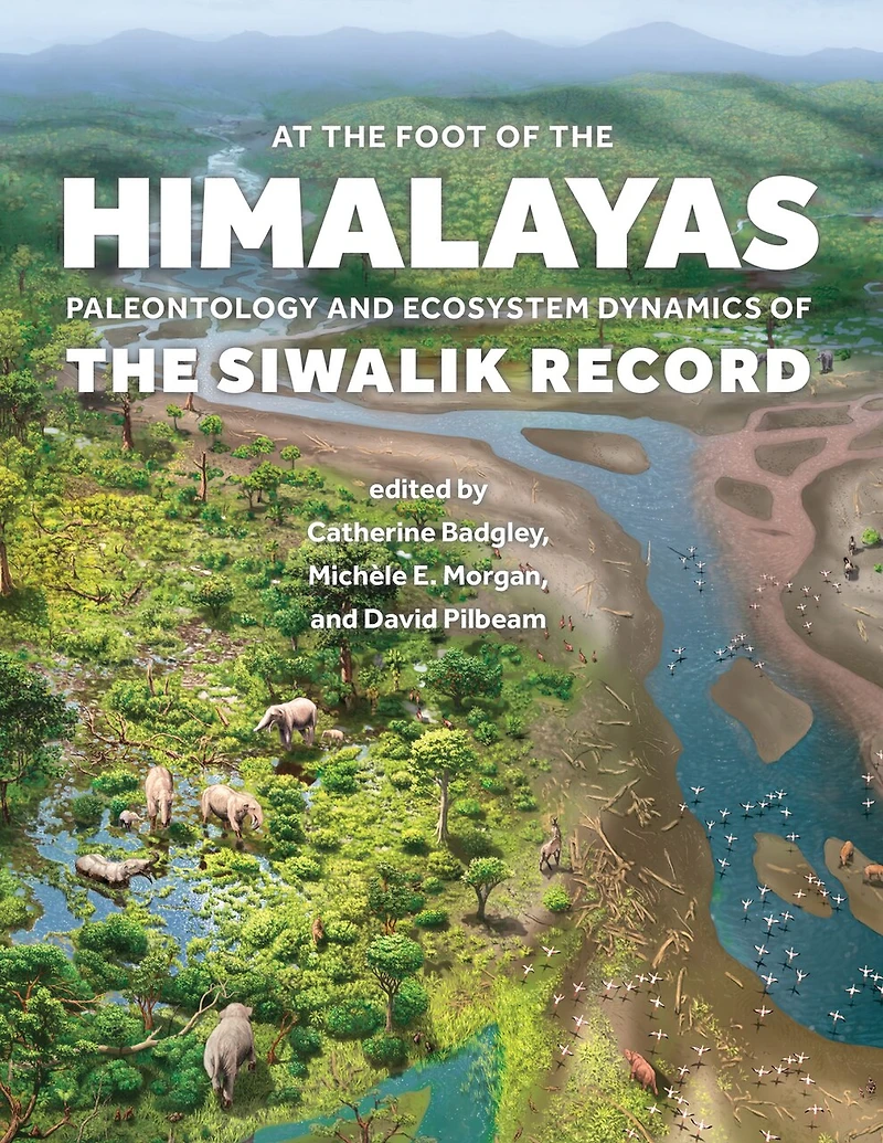 At the Foot of Himalayas: Paleontology and Ecosystem Dynamics Siwalik Record