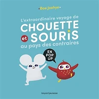 L' extraordinaire voyage de Chouette et Souris au pays des contraires: en pop-up
