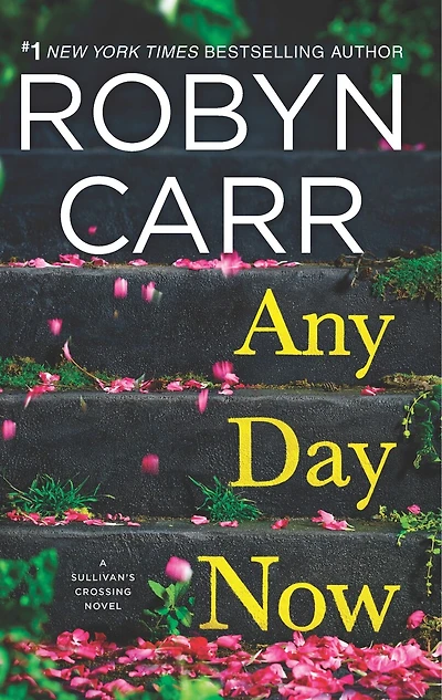 Any Day Now: A Sullivan’s crossing novel and the inspiration for hit Netflix show
