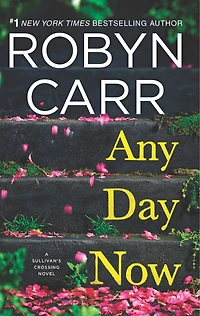 Any Day Now: A Sullivan’s crossing novel and the inspiration for hit Netflix show