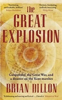 the Great Explosion: Gunpowder, War, and a Disaster on Kent Marshes