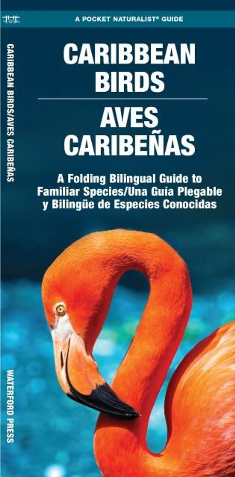 Caribbean Birds/Aves Caribenas, 2nd Ed: A Folding Guide to Familiar Species
