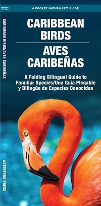 Caribbean Birds/Aves Caribenas, 2nd Ed: A Folding Guide to Familiar Species