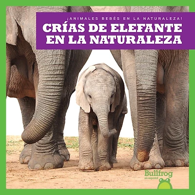 Crías de Elefante En La Naturaleza (Elephant Calves in the Wild