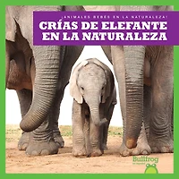 Crías de Elefante En La Naturaleza (Elephant Calves in the Wild