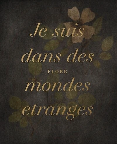 Je suis dans des mondes étranges