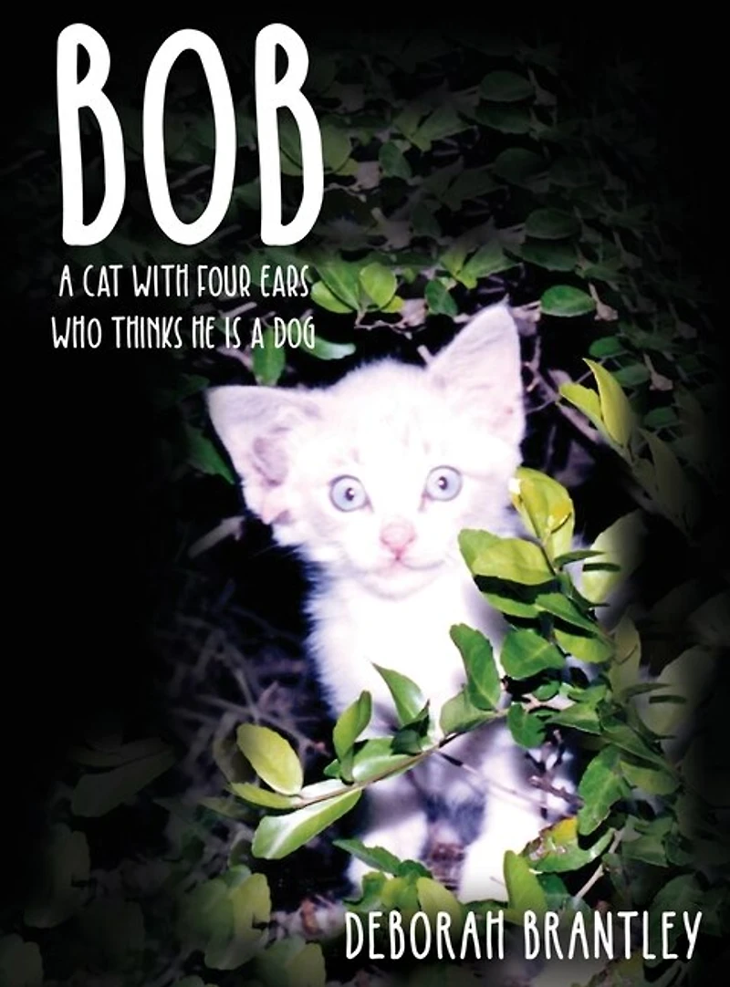 Bob: a Cat with Four Ears Who Thinks He Is Dog