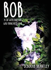 Bob: a Cat with Four Ears Who Thinks He Is Dog