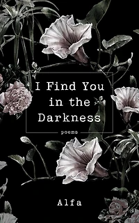 I Find You The Darkness: Poems