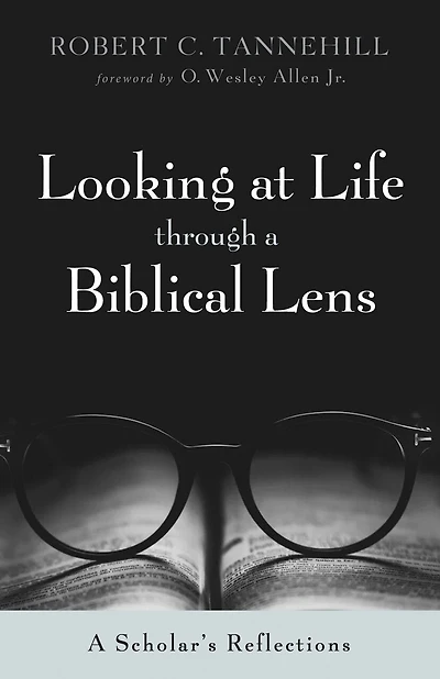Looking at Life Through A Biblical Lens: Scholar's Reflections