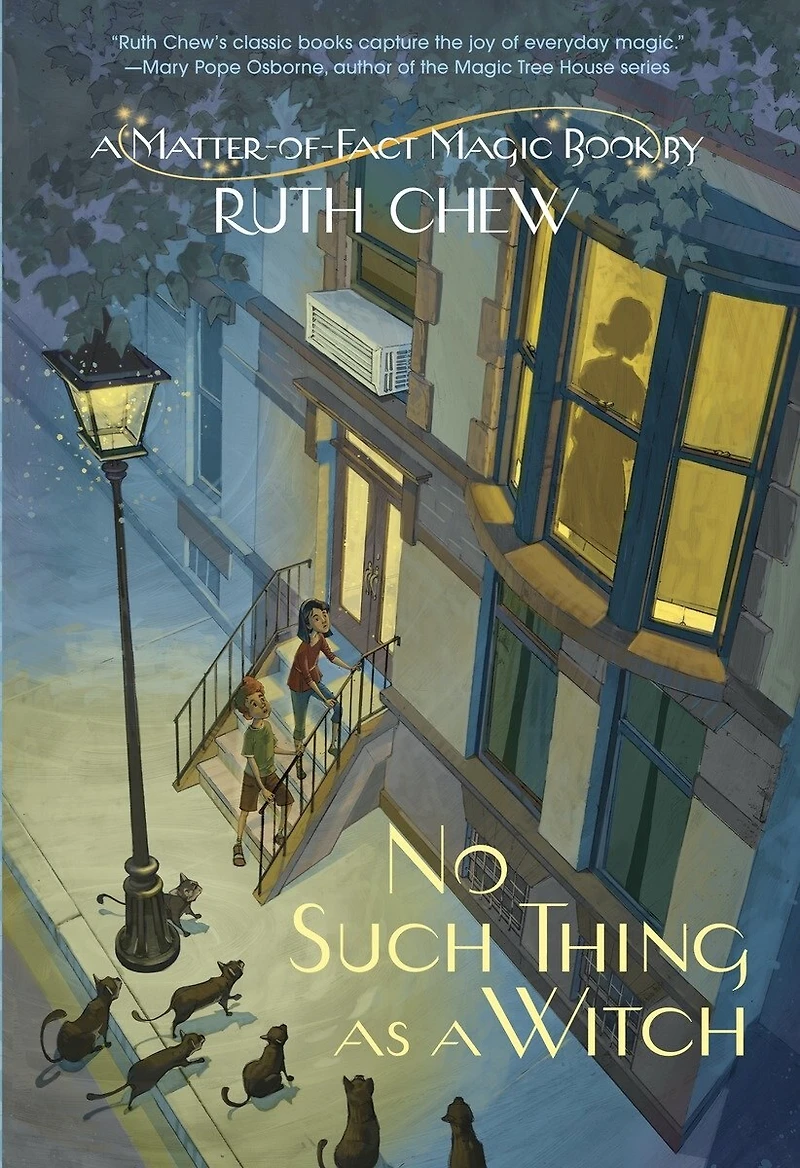 a Matter-of-Fact Magic Book: No Such Thing as Witch
