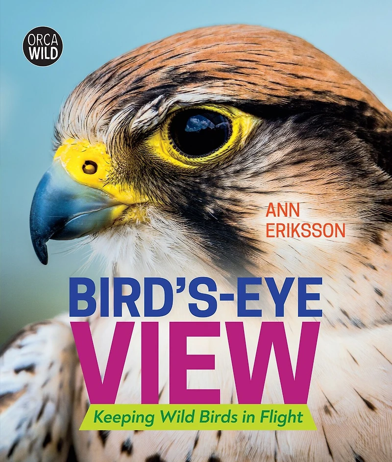 Bird's-Eye View: Keeping Wild Birds Flight