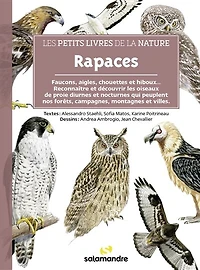 Rapaces: faucons, aigles, chouettes et hiboux...