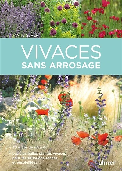 Vivaces sans arrosage: 40 idées de massifs, les plus belles plantes vivaces pour les situations sèches et ensoleillées